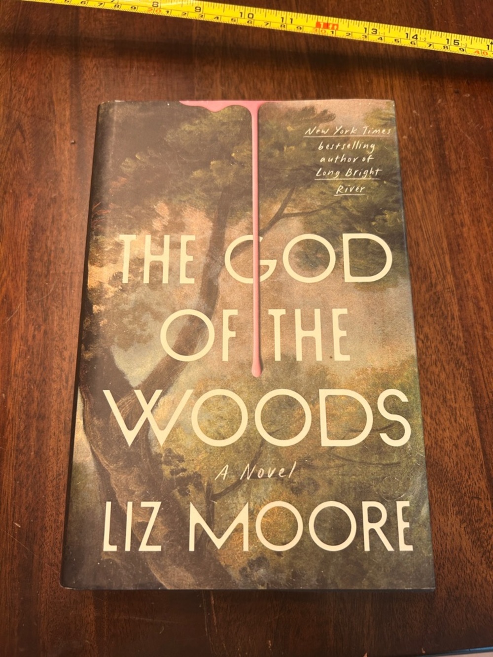 The God of the Woods by Liz Moore - Hardcover Novel - Green Cover with Pink Drip